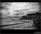 :: CECINA...[01-01]