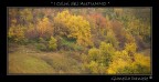 L'autunno e i suoi Colori L'autunno e i suoi Colori