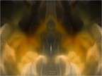 Le forme del mosso