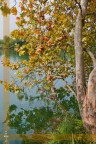 Promessa d'autunno Promessa d'autunno