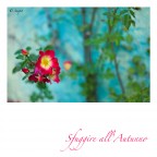 Sfuggire all'Autunno Sfuggire all'Autunno