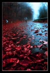 pedalare nel rosso pedalare nel rosso