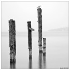 Primo classificato.... Primo classificato....