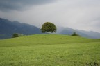 poco prima della tempesta