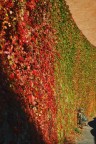 Autunno Urbano Autunno Urbano