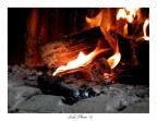 "Calore" "Calore"