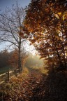 Strade d'autunno Strade d'autunno