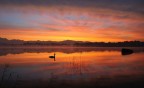 Alba al lago di Pusiano