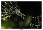 Perle di Natura Perle di Natura