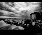 :: Cecina...[01-12]
