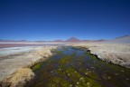Bolivia Laguna colorada panorama Bolivia Laguna colorada panorama