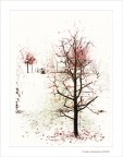 Anime...in autunno