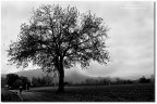 Novembre