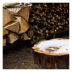 Arriva l'inverno? Arriva l'inverno?