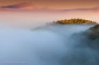 Into the fog Into the fog
