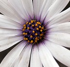 Colori fra' la Natura Colori fra' la Natura