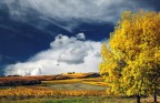 Colori Colori