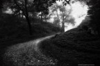 Verso La Luce Verso La Luce