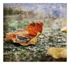 Autumn promises Autumn promises