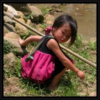 Piccola mondina vietnamita Piccola mondina vietnamita