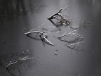 il lago ghiacciato il lago ghiacciato