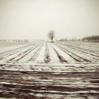 Winter Winter