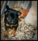 e allora?! e allora?!