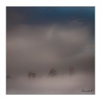 Magia nella nebbia.. Magia nella nebbia..