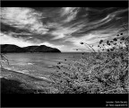 :: Golfo Baratti...[01-32]
