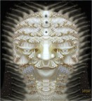 Il settecentesco con spina dorsale Il settecentesco con spina dorsale