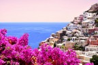 Positano in fiore Positano in fiore