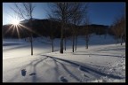 light light