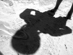 ombra ombra