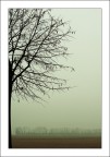 Ancora un po' di luce invernale..