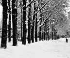 neve 2 neve 2