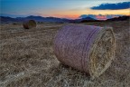 Rolling Hay Bale Rolling Hay Bale