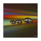 Gemme d'acqua Gemme d'acqua