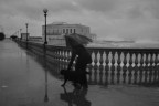 ...porto fuori il cane... ...porto fuori il cane...