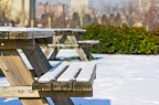 Panchina innevata Panchina innevata