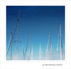 Zigzagando... Zigzagando...