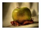 Still life carico Still life carico
