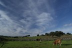 Colline sarde. Colline sarde.
