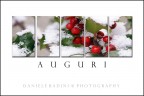 Auguri Auguri