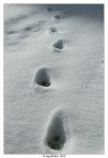 lunar snow landscape