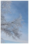 una dolce nevicata