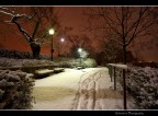 When the night comes When the night comes