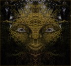 La signora dei boschi La signora dei boschi