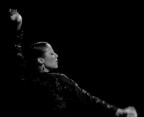 flamenco flamenco