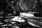 Viale Madrid Viale Madrid