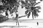 on the beach on the beach